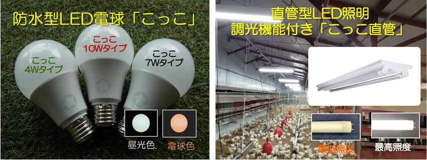 �؎ɗl����LED�u�Ƃ�Ƃ�v