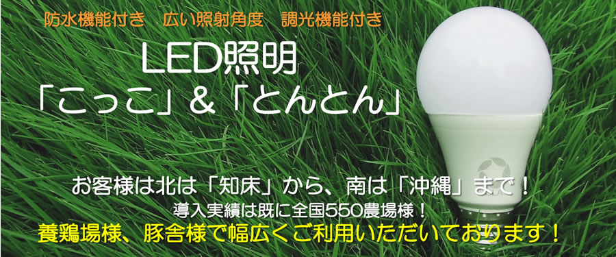 LED�d��������